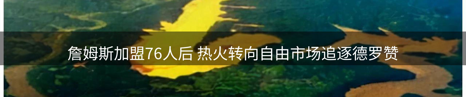 网站资讯